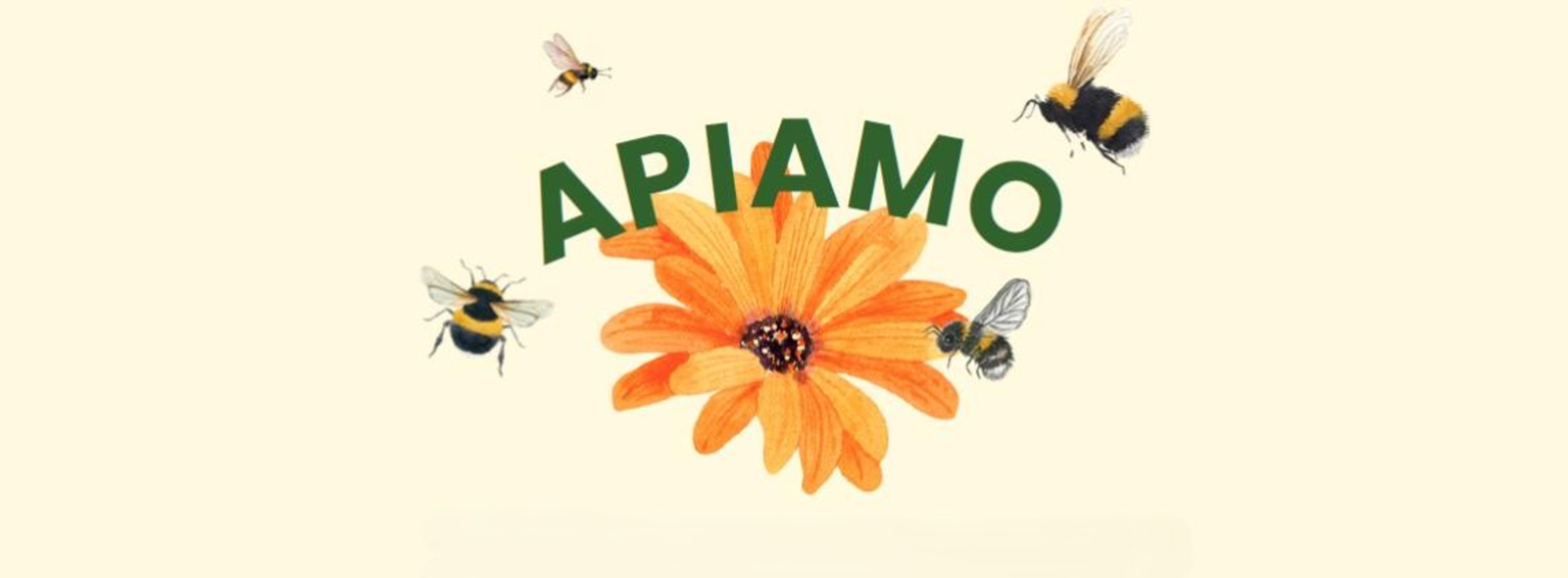 Progetto ApiAMO: il 6 giugno a Galliate un convegno dedicato a biodiversità, api e tutela del territorio