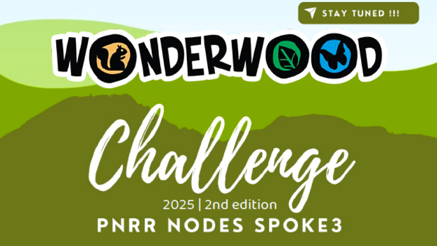Wonderwood Challenge 2025