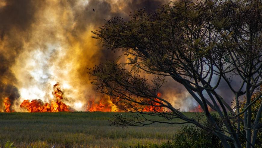 Crisi climatica ed emergenza sanitaria